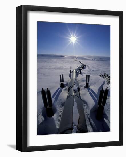 Trans-Alaska Pipeline From Prudhoe Bay to Valdez, Brooks Range, Alaska, USA-Hugh Rose-Framed Photographic Print