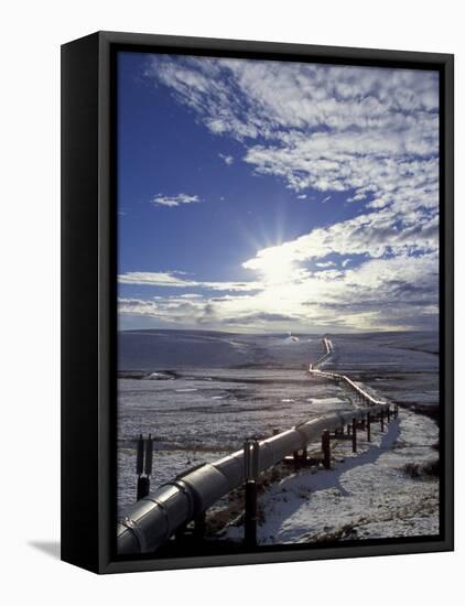 Trans-Alaska Pipeline in Winter, North Slope of the Brooks Range, Alaska, USA-Hugh Rose-Framed Stretched Canvas