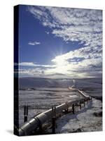 Trans-Alaska Pipeline in Winter, North Slope of the Brooks Range, Alaska, USA-Hugh Rose-Stretched Canvas