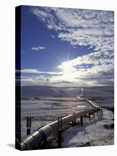 Trans-Alaska Pipeline in Winter, North Slope of the Brooks Range, Alaska, USA-Hugh Rose-Stretched Canvas