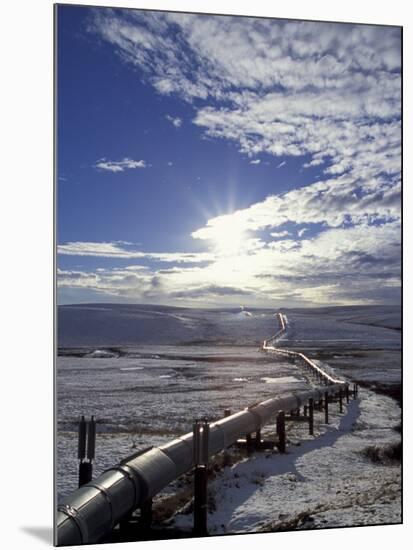 Trans-Alaska Pipeline in Winter, North Slope of the Brooks Range, Alaska, USA-Hugh Rose-Mounted Photographic Print