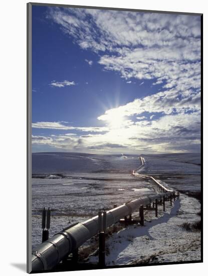 Trans-Alaska Pipeline in Winter, North Slope of the Brooks Range, Alaska, USA-Hugh Rose-Mounted Photographic Print