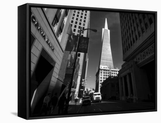 Trans America Mono-John Gusky-Framed Stretched Canvas