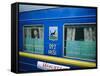 Trans-Siberian Express, Siberia, Russia-Bruno Morandi-Framed Stretched Canvas