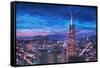 Transamerica Pyramid at San Francisco Night-Markus Bleichner-Framed Stretched Canvas