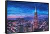 Transamerica Pyramid at San Francisco Night-Markus Bleichner-Framed Stretched Canvas