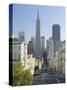 Transamerica Pyramid, San Francisco, California, USA-Gavin Hellier-Stretched Canvas