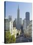 Transamerica Pyramid, San Francisco, California, USA-Gavin Hellier-Stretched Canvas