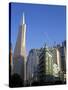Transamerica Pyramid Skyscraper in San Francisco, California, USA-David R. Frazier-Stretched Canvas