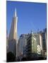 Transamerica Pyramid Skyscraper in San Francisco, California, USA-David R. Frazier-Mounted Premium Photographic Print