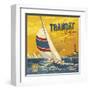 Transat à la voile-Bruno Pozzo-Framed Art Print