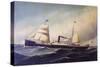 Transatlantic Habana Ship, by Antonio Nicolo Gasparo Jacobsen (1850-1921), 19th Century-null-Stretched Canvas