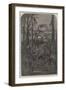 Transatlantic Sketches; a Swamp in Louisiana-null-Framed Giclee Print