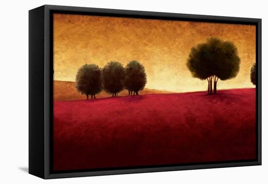 Transcendence-Gregory Williams-Framed Stretched Canvas