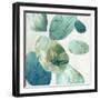 Transcendent Visions-Emma Peal-Framed Art Print