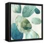 Transcendent Visions-Emma Peal-Framed Stretched Canvas