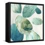 Transcendent Visions-Emma Peal-Framed Stretched Canvas