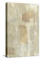 Transept II-Jennifer Goldberger-Stretched Canvas