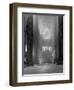 Transept of Westminster Abbey-null-Framed Photographic Print