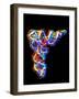 Transfer RNA Molecule-PASIEKA-Framed Photographic Print