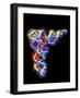 Transfer RNA Molecule-PASIEKA-Framed Photographic Print