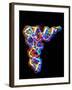 Transfer RNA Molecule-PASIEKA-Framed Photographic Print