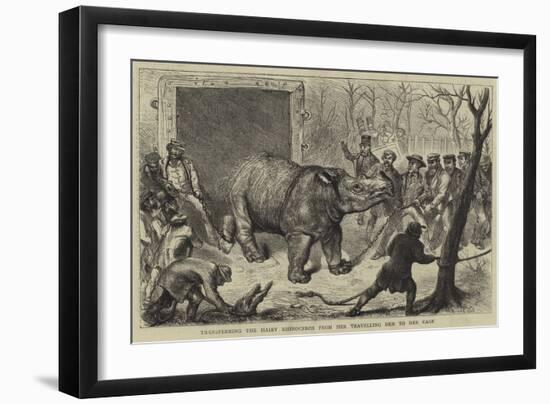 Transferring the Hairy Rhinoceros from Her Travelling Den to Her Cage-Ernest Henry Griset-Framed Giclee Print