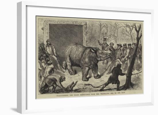 Transferring the Hairy Rhinoceros from Her Travelling Den to Her Cage-Ernest Henry Griset-Framed Giclee Print