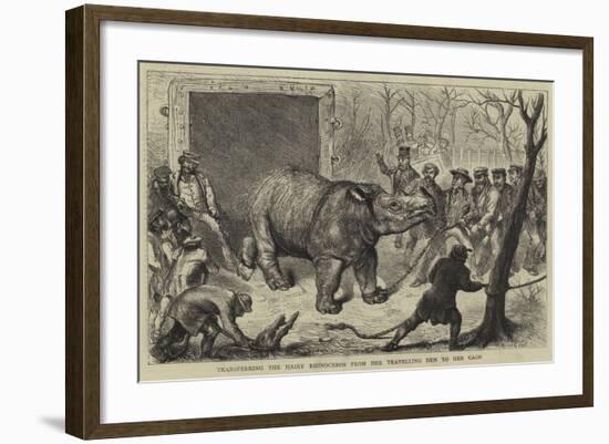 Transferring the Hairy Rhinoceros from Her Travelling Den to Her Cage-Ernest Henry Griset-Framed Giclee Print