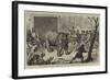 Transferring the Hairy Rhinoceros from Her Travelling Den to Her Cage-Ernest Henry Griset-Framed Giclee Print