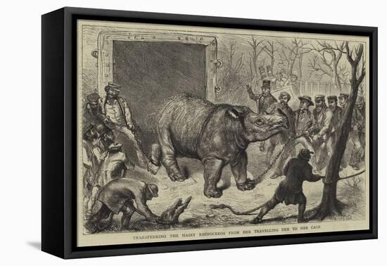 Transferring the Hairy Rhinoceros from Her Travelling Den to Her Cage-Ernest Henry Griset-Framed Stretched Canvas
