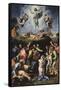 Transfiguration-Raphael-Framed Stretched Canvas