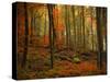 Transformation Fall-Philippe Sainte-Laudy-Stretched Canvas