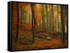 Transformation Fall-Philippe Sainte-Laudy-Framed Stretched Canvas