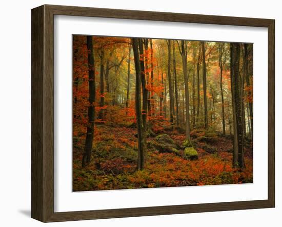 Transformation Fall-Philippe Sainte-Laudy-Framed Premium Photographic Print