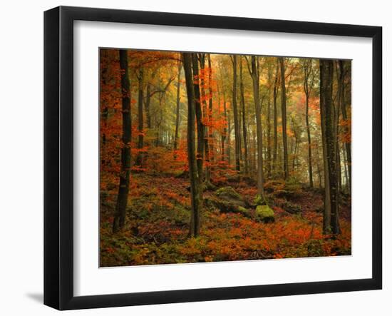 Transformation Fall-Philippe Sainte-Laudy-Framed Premium Photographic Print