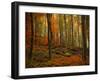 Transformation Fall-Philippe Sainte-Laudy-Framed Premium Photographic Print