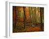 Transformation Fall-Philippe Sainte-Laudy-Framed Premium Photographic Print