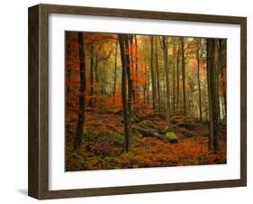 Transformation Fall-Philippe Sainte-Laudy-Framed Photographic Print