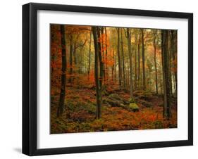 Transformation Fall-Philippe Sainte-Laudy-Framed Photographic Print