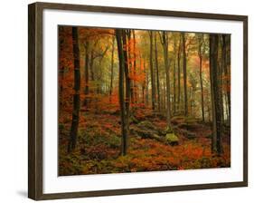 Transformation Fall-Philippe Sainte-Laudy-Framed Photographic Print