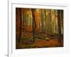 Transformation Fall-Philippe Sainte-Laudy-Framed Photographic Print