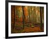 Transformation Fall-Philippe Sainte-Laudy-Framed Photographic Print