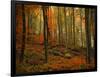 Transformation Fall-Philippe Sainte-Laudy-Framed Photographic Print