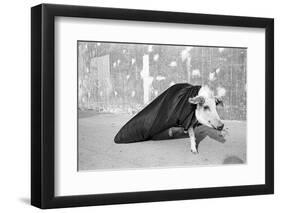 Transformationen 1, 2015-Jaschi Klein-Framed Photographic Print