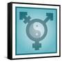 Transgender Balance, Conceptual Artwork-Stephen Wood-Framed Stretched Canvas