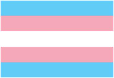 'Transgender Pride Flag' Photo | AllPosters.com