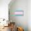 Transgender Pride Flag-null-Poster displayed on a wall