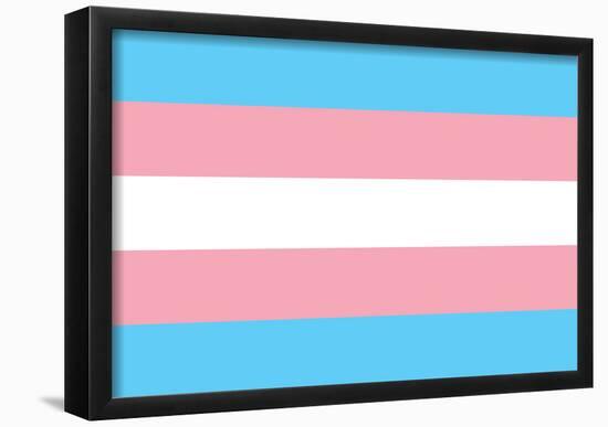 Transgender Pride Flag-null-Framed Poster