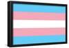 Transgender Pride Flag-null-Framed Poster